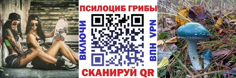 Галлюциногенные грибы Psilocybe наркошоп Новоульяновск